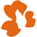 泸州花都整形美容