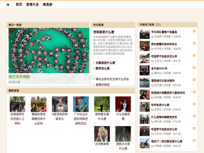 “91问问调查网”网站截图