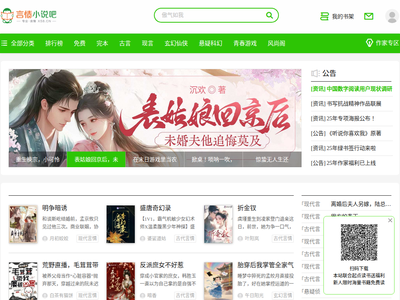 “言情小说吧”网站截图